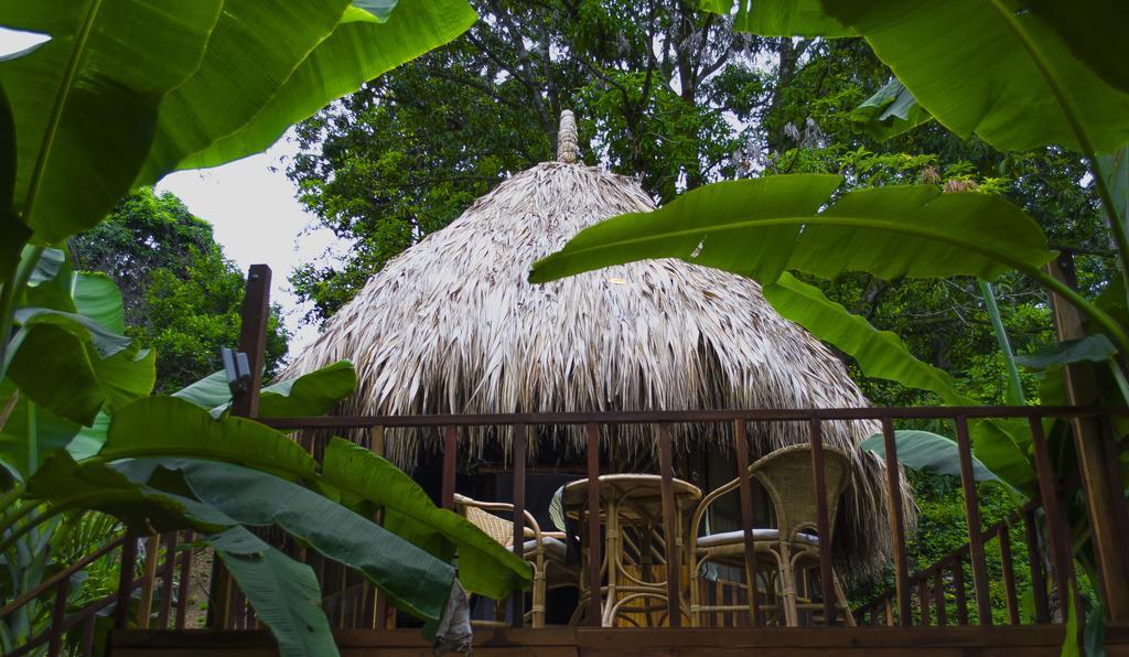 Tayrona Paradise Villa El Zaino Exteriör bild