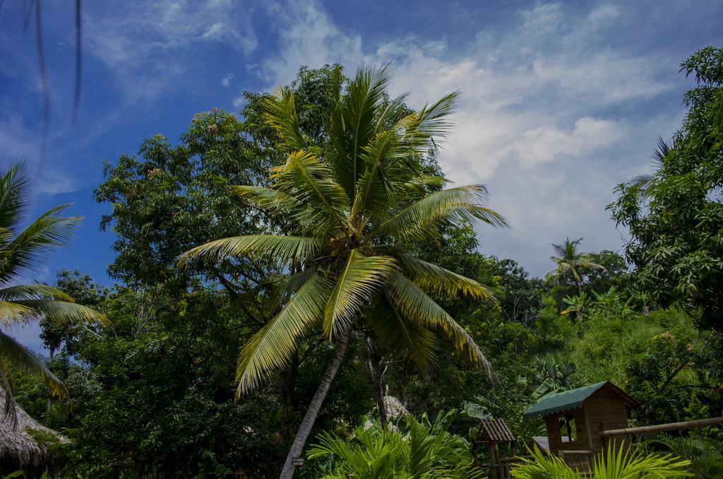 Tayrona Paradise Villa El Zaino Exteriör bild
